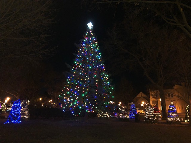 Christmas Tree in Downtown Plymouth. 