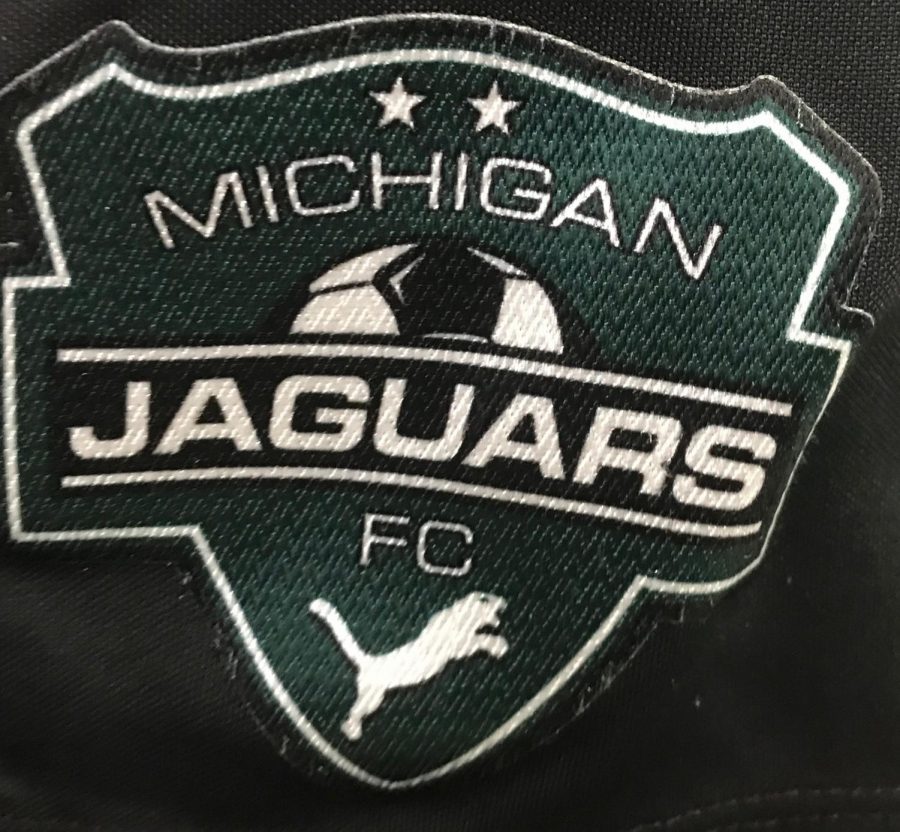 Michigan+Jaguar+logo.