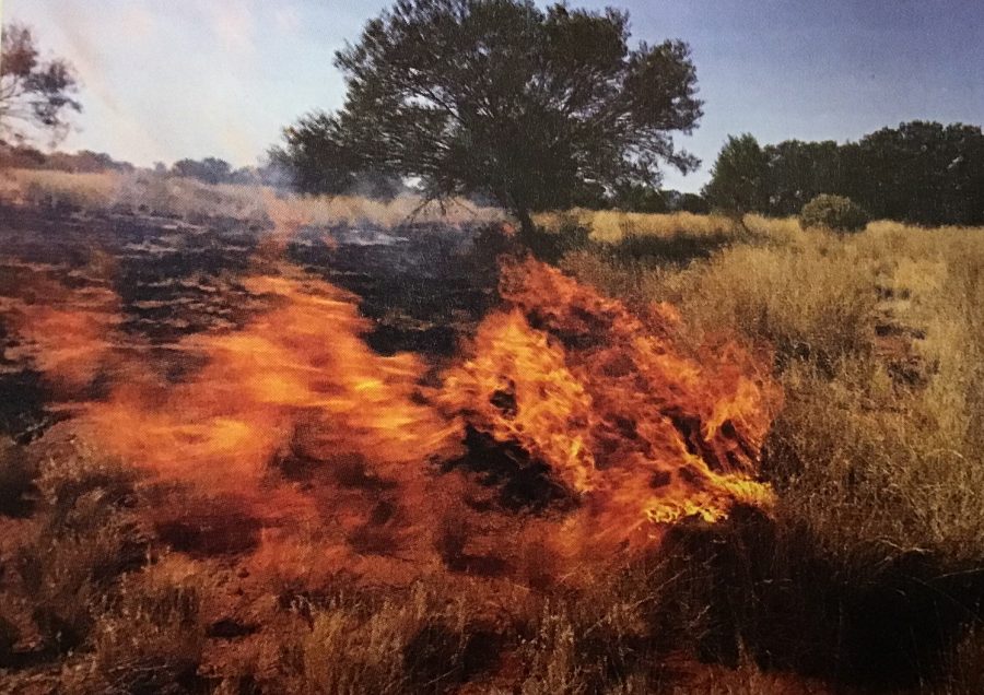 Australia Bush Fires