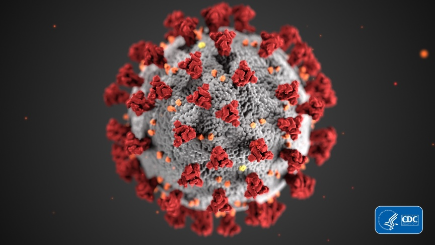Its an image of a Coronavirus cell