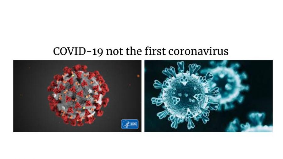 COVID-19-Not the First Coronavirus