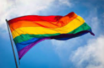 The rainbow flag is the symbol for the community and all sexualitys and genders.