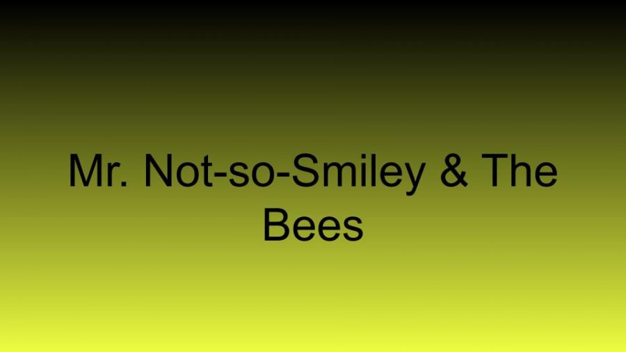 Mr.+Not-So-Smiley+%26+The+Beezzzz