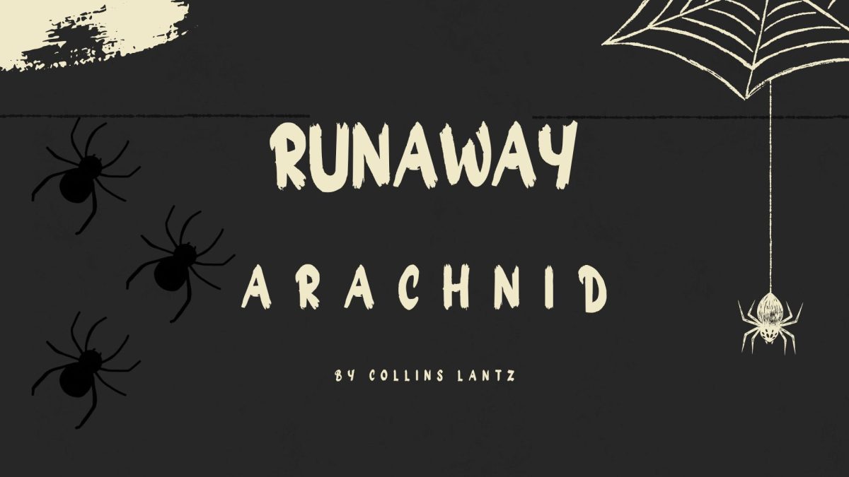 Runaway Arachnid