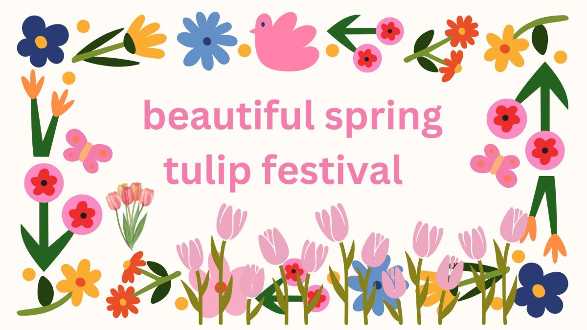 Beautiful Spring Tulip Festival: Check it out!