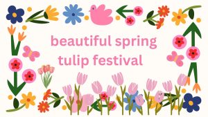 Beautiful Spring Tulip Festival: Check it out!