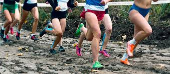 Tips For Cross Country Runners