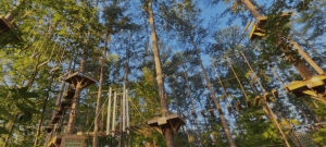 Tree Runner, Where Everyone Belongs