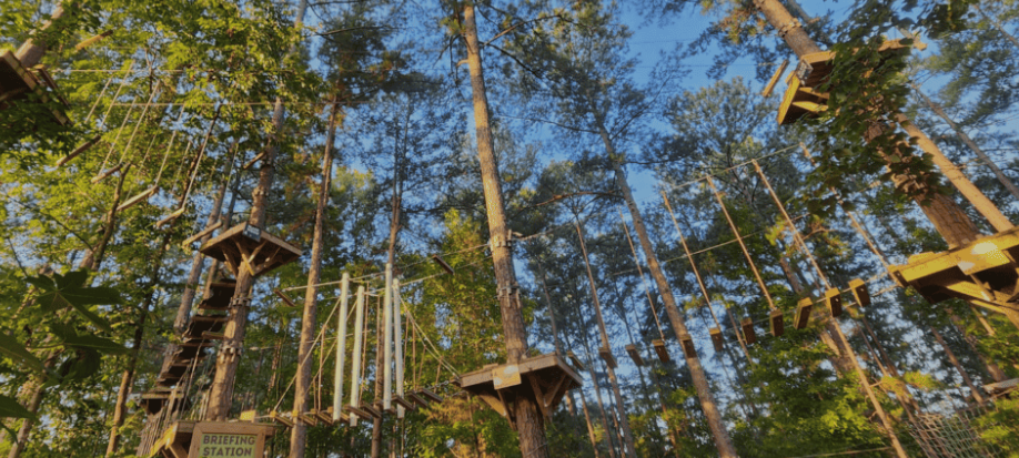 Tree Runner, Where Everyone Belongs