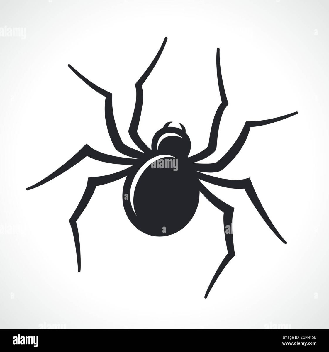 Runaway Arachnid