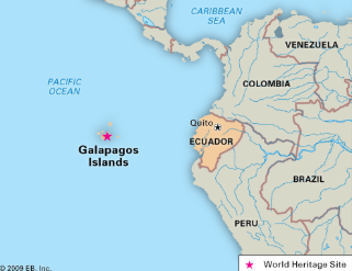 The Floreana Giant Tortoise has made it’s return to the Galapagos Islands. The tortoise’s return to this island is predicted to be...